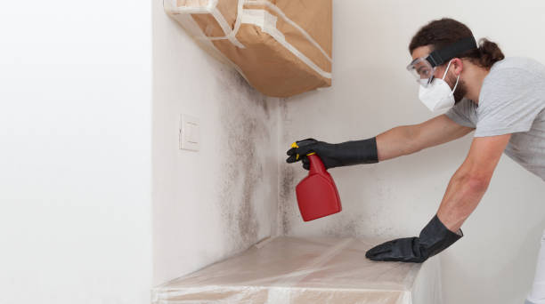 Professional Mold Removal technician working in Oyster Bay, NY